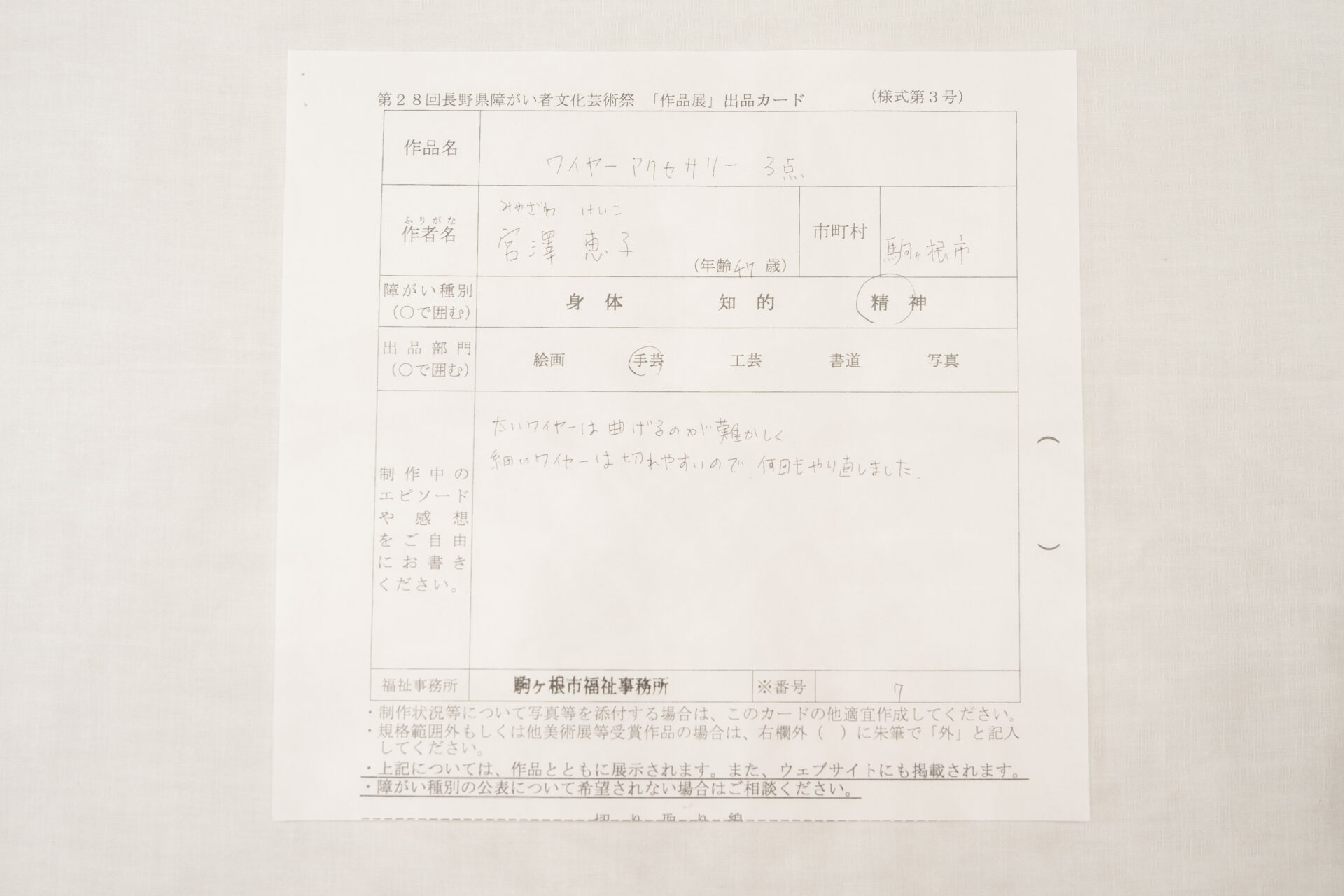 作品画像3